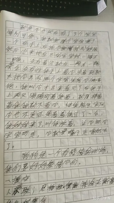 小狗子永不言弃