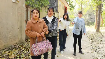 夏总，你集资百万的爱豆是豪门继承人